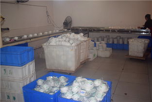 內(nèi)江市東興區(qū)力凈消毒餐具配送中心 專業(yè)消毒，優(yōu)質(zhì)服務(wù)，守護健康